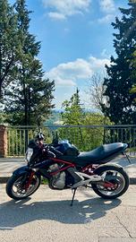 Kawasaki ER-6n (2007) - Depotenziata A2 (leggere)