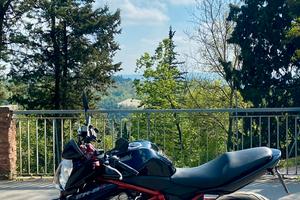 Kawasaki ER-6n (2007) - Depotenziata A2 (leggere)