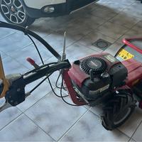 Trincia meccanica benassi tr 50