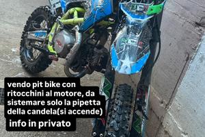 ncx vyper 125 4tempi pitbike