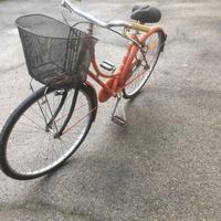 Bici donna 26 pollici