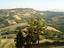 Immagine 7