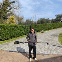 Taglio siepe, potatura, giardinaggio