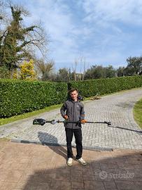 Taglio siepe, potatura, giardinaggio