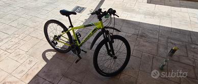 bicicletta 24