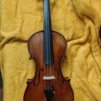 Violino