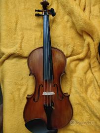 Violino