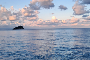 Grazioso bilocale con giardino