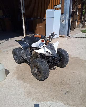 miniquad kayo