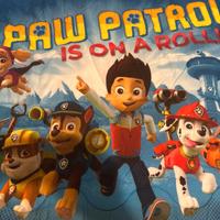 Piumone paw patrol