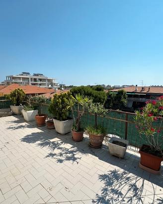 Se c erchi un attico di ampia metratura chiamaci