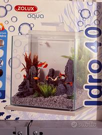 Acquario