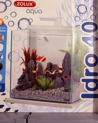 Acquario