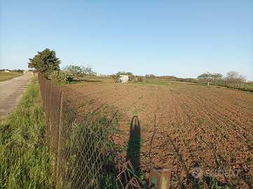Terreno agricolo zona Aeroporto del Salento