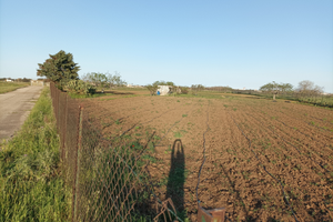 Terreno agricolo zona Aeroporto del Salento