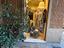 Immagine 11
