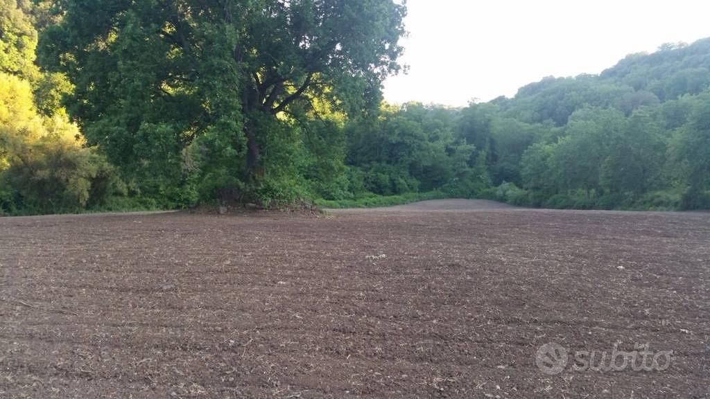 Terreno di 18120 m² a Tuscania - Vista 5