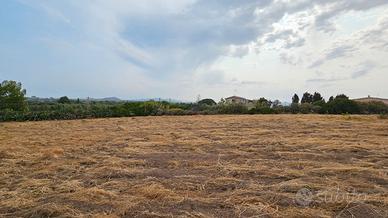 Terreno Fronte Strada
