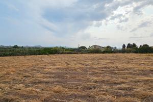 Terreno Fronte Strada