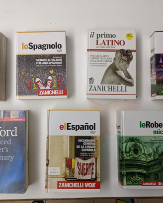 Dizionari monolingue e bilingue