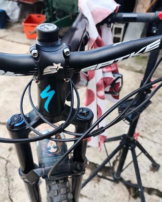 Specialized turbo levo 2019