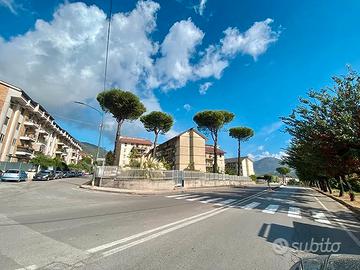 Ampio appartamento in parco