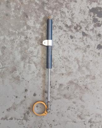 ammortizzatore di sterzo per rgv gamma 250