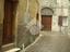 Immagine 10