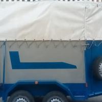 Van Trasporto Cavalli