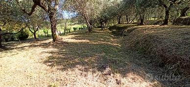 Colle di Compito. Terratetto finale ristrutturato