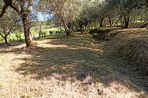 Colle di Compito. Terratetto finale ristrutturato