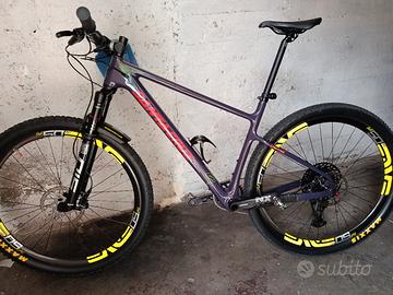 santa Cruz higball 