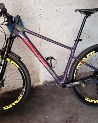 santa Cruz higball 