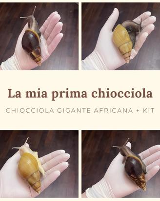Chiocciola + kit