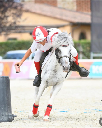 Pony 117