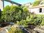 Immagine 26