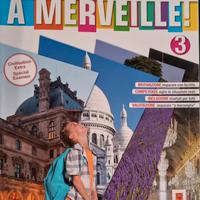 À merveille! vol. 3