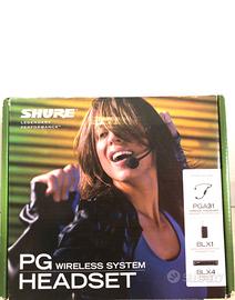 Microfono archetto SHURE PG