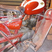 Ducati 85 turismo anno 1953