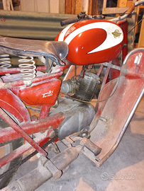 Ducati 85 turismo anno 1953