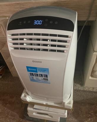 Climatizzatore portatile