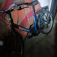 bicicletta da donna 24