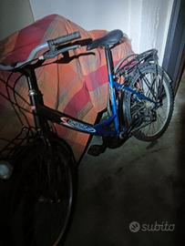 bicicletta da donna 24