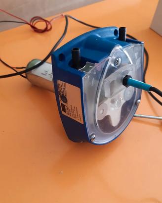 Pompa peristaltica BRAM 24V