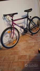 MTB - GIANT TERRAGO