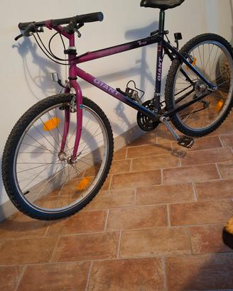 MTB - GIANT TERRAGO