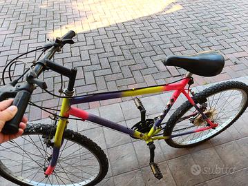 bici da uomo