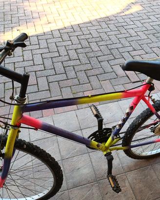 bici da uomo