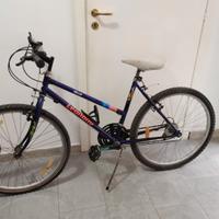 Mountain bike Legnano 