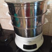 vaporiera tefal